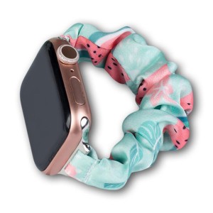 Apple Watch 2 / 3 / 4 / 5 /6 / 7 / SE ( 38 / 40 / 41mm) - Fabric Strap Bracelet on Elastic Watermelon Blue