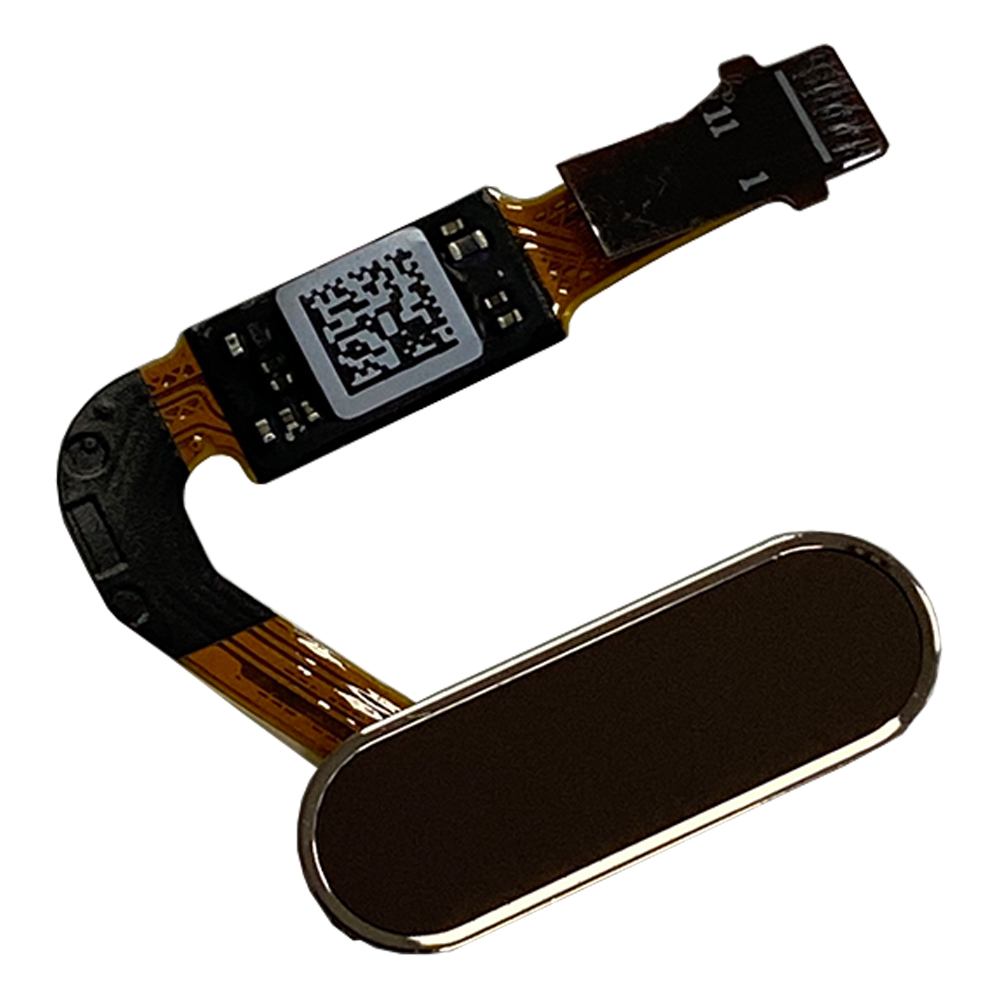 product_10155