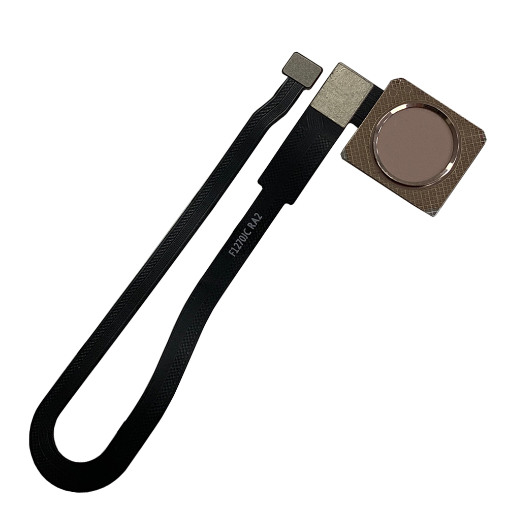 product_10161
