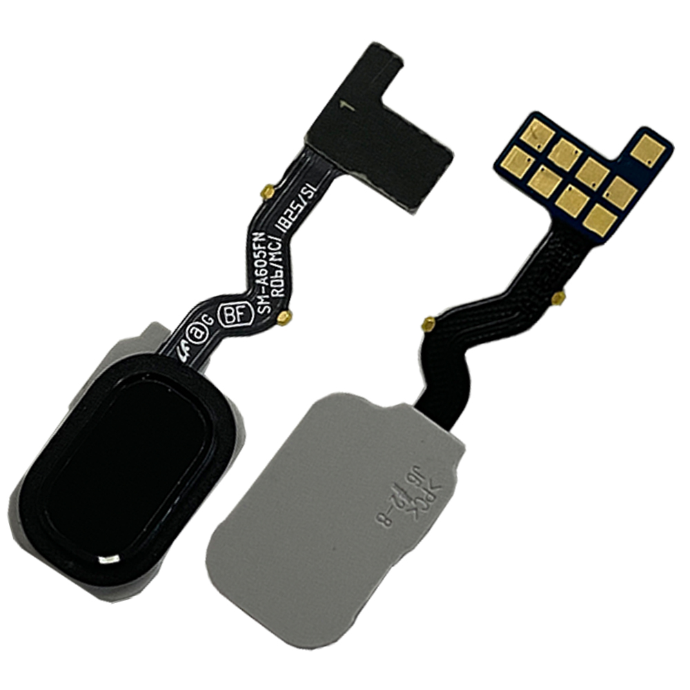 product_10273