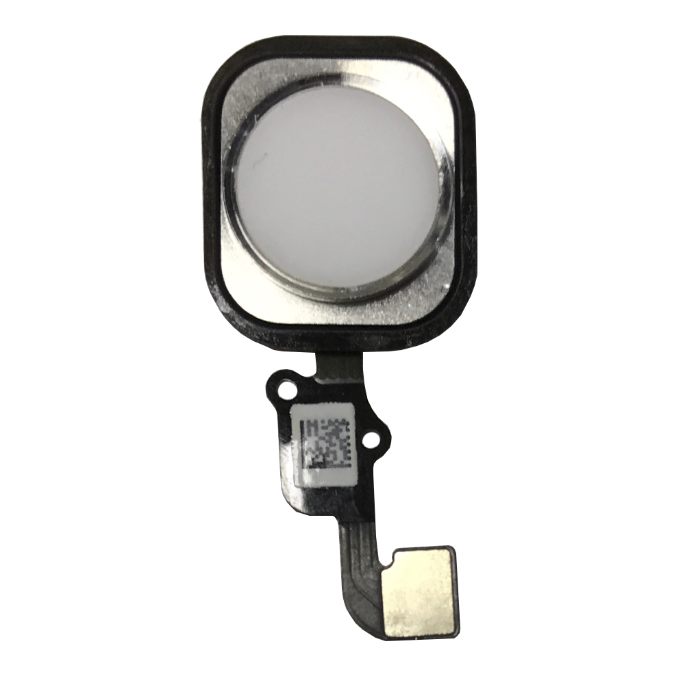 product_2156