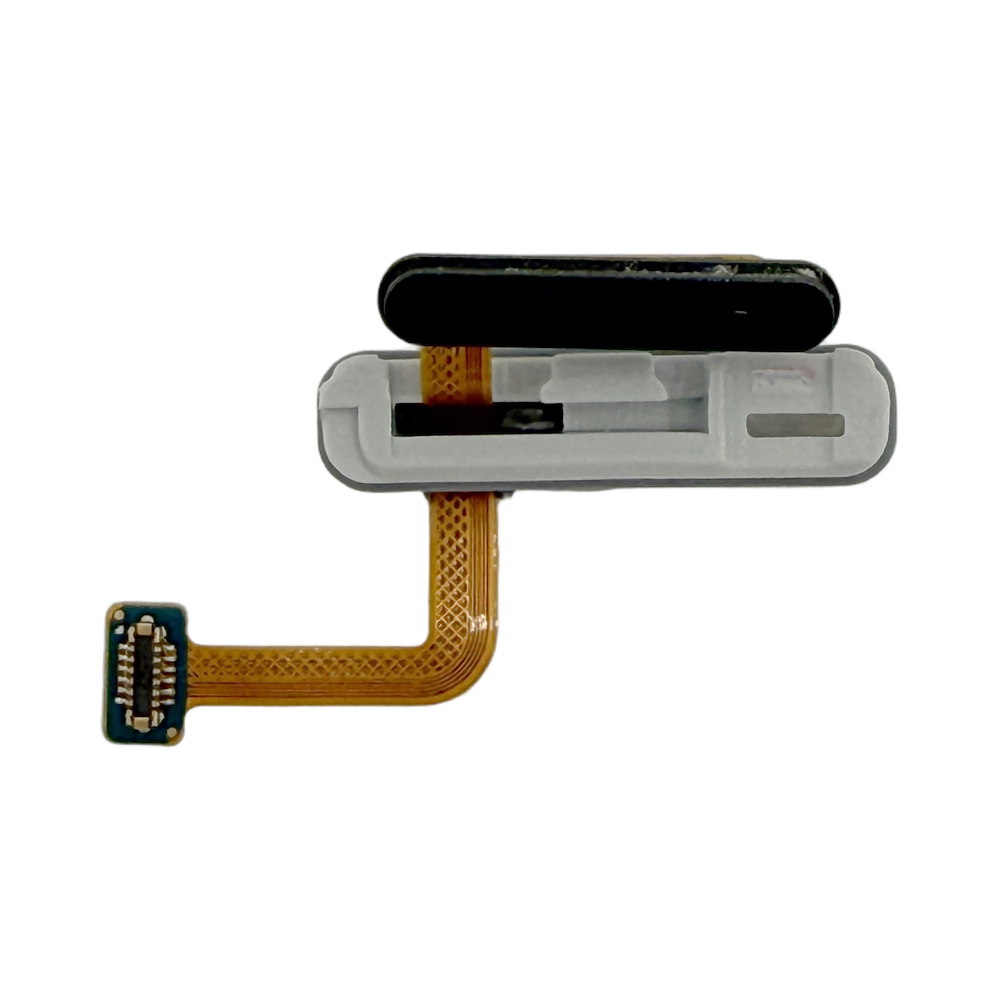 product_36573_1781193694